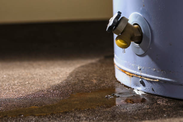 Best Flood damage cleanup  in North Wantagh, NY
