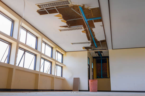 Best Water damage restoration near me  in North Wantagh, NY
