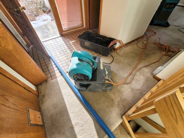Best Mold removal after water damage  in North Wantagh, NY