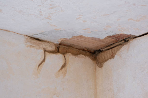 Best Water damage restoration mold remediation  in North Wantagh, NY