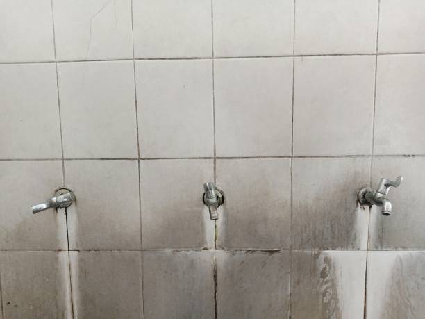  North Wantagh, NY Water damage restoration Pros