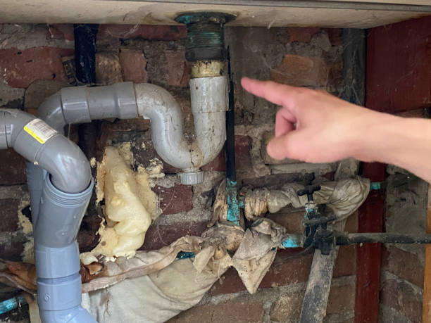Best Flooded house restoration  in North Wantagh, NY