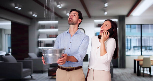 Best Residential water damage restoration  in North Wantagh, NY
