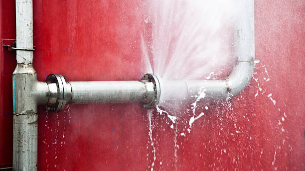 Best Professional water damage repair  in North Wantagh, NY